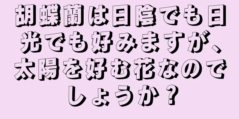 胡蝶蘭は日陰でも日光でも好みますが、太陽を好む花なのでしょうか？