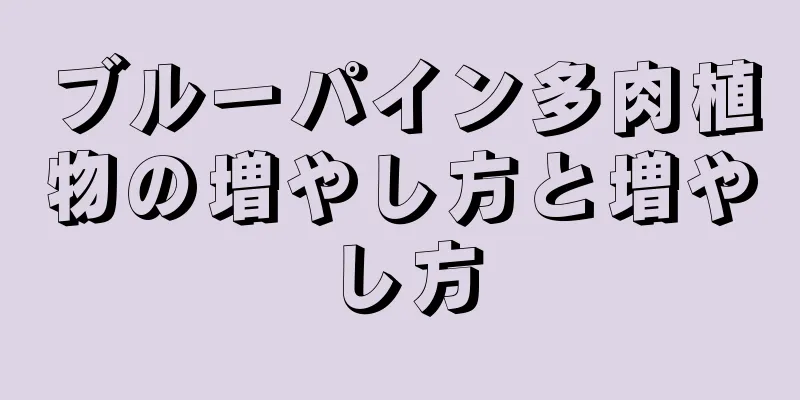 ブルーパイン多肉植物の増やし方と増やし方