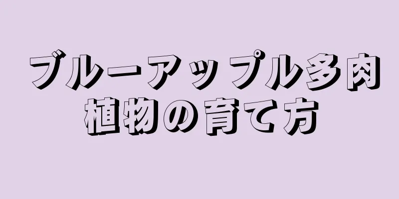 ブルーアップル多肉植物の育て方