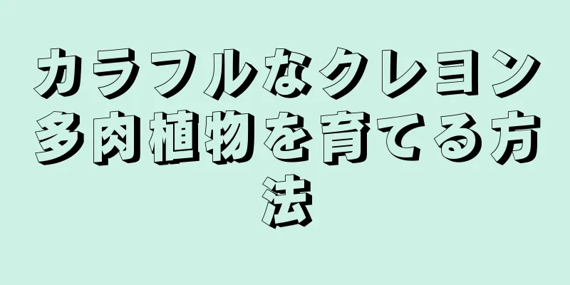 カラフルなクレヨン多肉植物を育てる方法