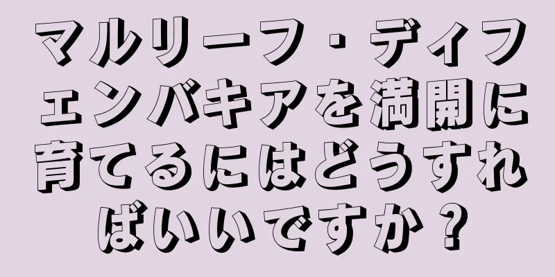 マルリーフ・ディフェンバキアを満開に育てるにはどうすればいいですか？