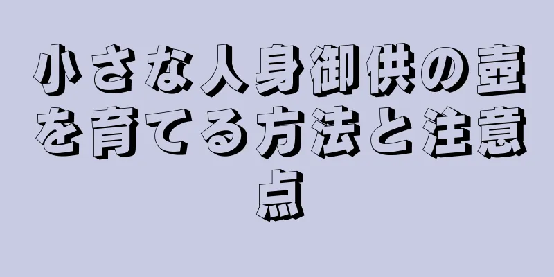 小さな人身御供の壺を育てる方法と注意点