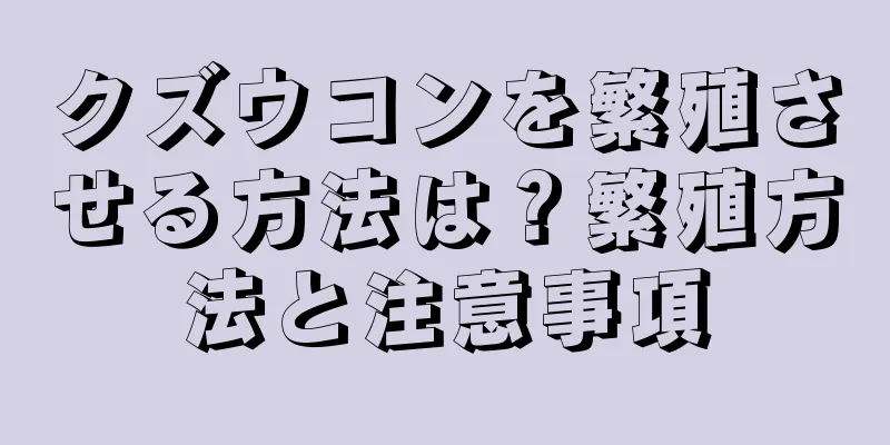クズウコンを繁殖させる方法は？繁殖方法と注意事項