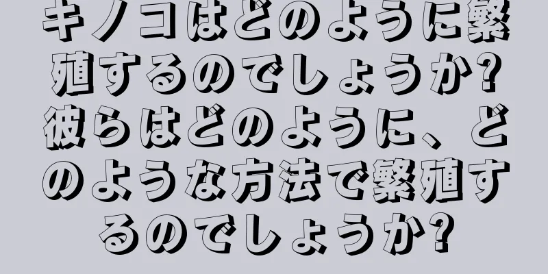 キノコはどのように繁殖するのでしょうか?彼らはどのように、どのような方法で繁殖するのでしょうか?