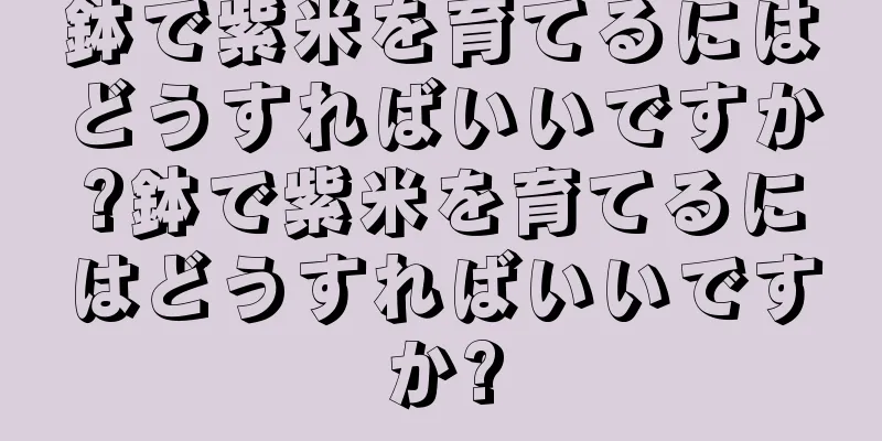 鉢で紫米を育てるにはどうすればいいですか?鉢で紫米を育てるにはどうすればいいですか?