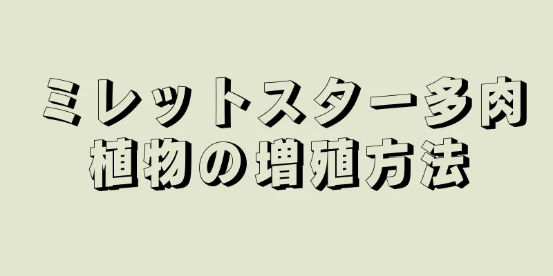 ミレットスター多肉植物の増殖方法
