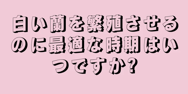 白い蘭を繁殖させるのに最適な時期はいつですか?