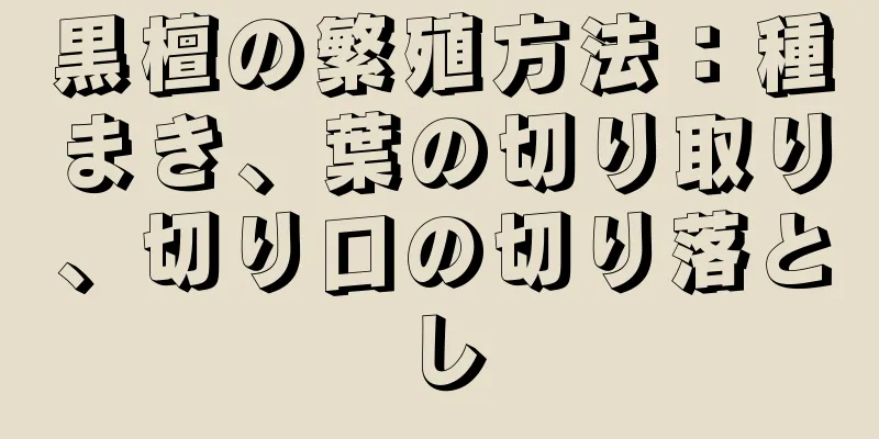 黒檀の繁殖方法：種まき、葉の切り取り、切り口の切り落とし