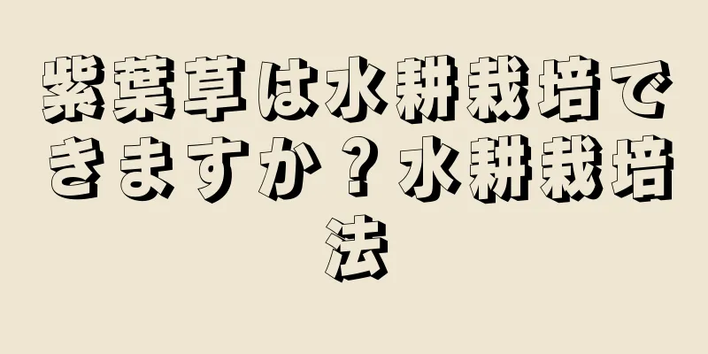 紫葉草は水耕栽培できますか？水耕栽培法