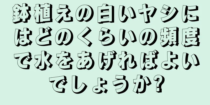 鉢植えの白いヤシにはどのくらいの頻度で水をあげればよいでしょうか?