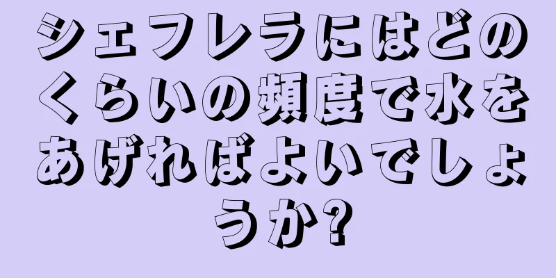 シェフレラにはどのくらいの頻度で水をあげればよいでしょうか?