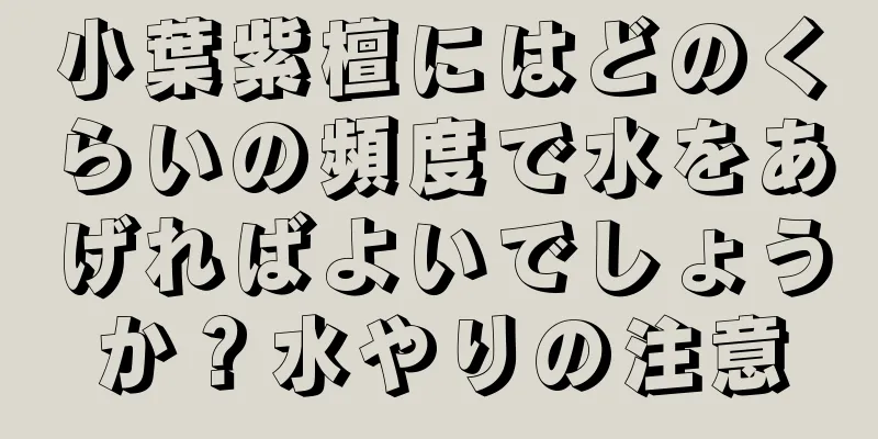 小葉紫檀にはどのくらいの頻度で水をあげればよいでしょうか？水やりの注意