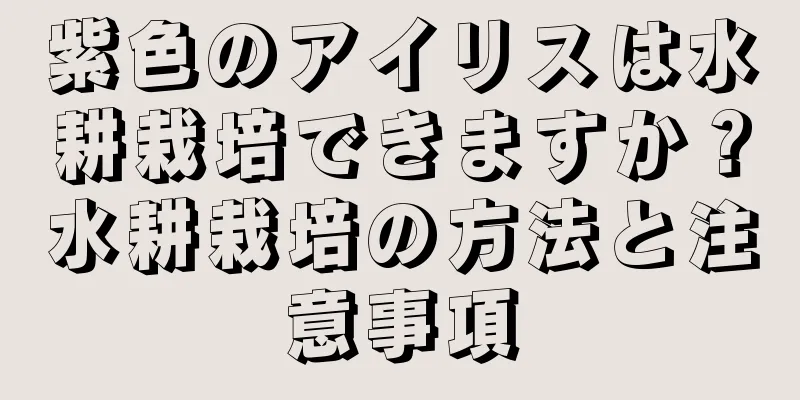 紫色のアイリスは水耕栽培できますか？水耕栽培の方法と注意事項