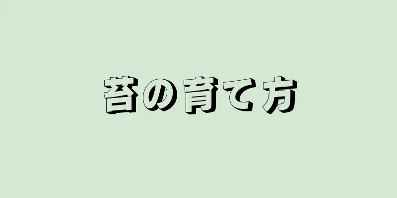 苔の育て方