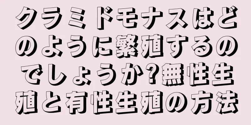 クラミドモナスはどのように繁殖するのでしょうか?無性生殖と有性生殖の方法