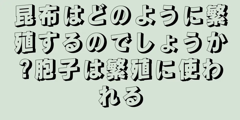 昆布はどのように繁殖するのでしょうか?胞子は繁殖に使われる