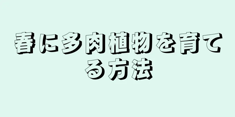 春に多肉植物を育てる方法