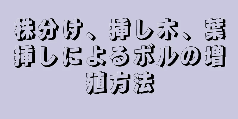 株分け、挿し木、葉挿しによるボルの増殖方法