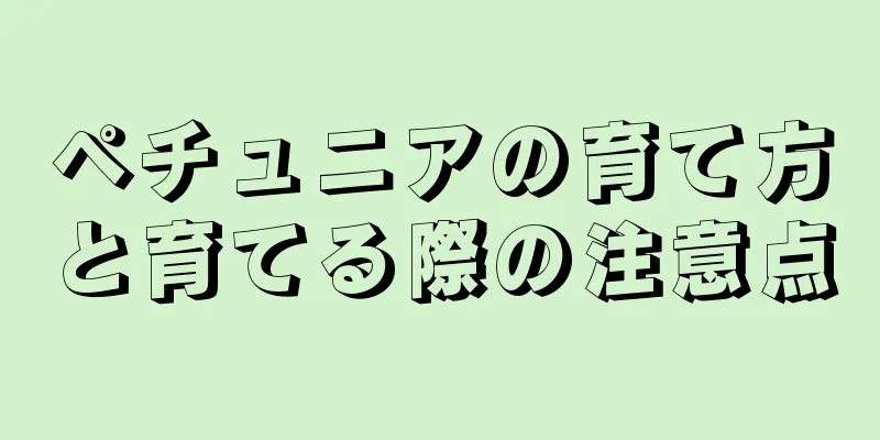 ペチュニアの育て方と育てる際の注意点