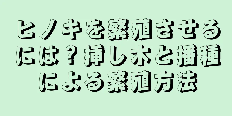 ヒノキを繁殖させるには？挿し木と播種による繁殖方法