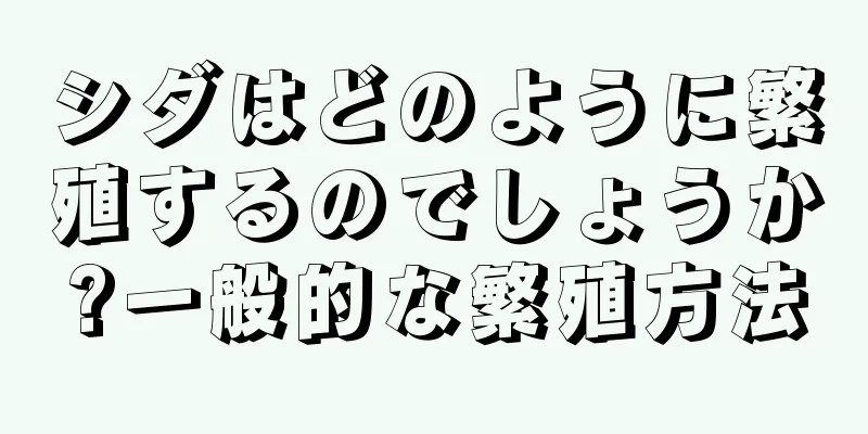 シダはどのように繁殖するのでしょうか?一般的な繁殖方法