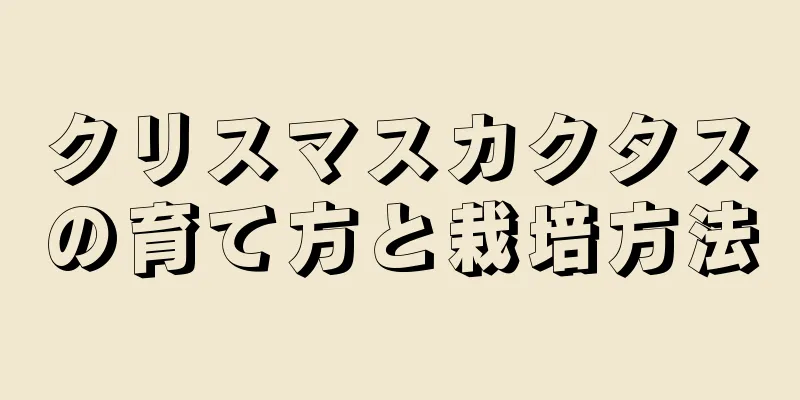 クリスマスカクタスの育て方と栽培方法