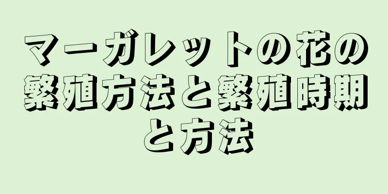 マーガレットの花の繁殖方法と繁殖時期と方法