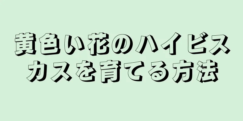 黄色い花のハイビスカスを育てる方法