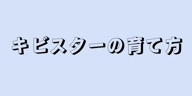 キビスターの育て方