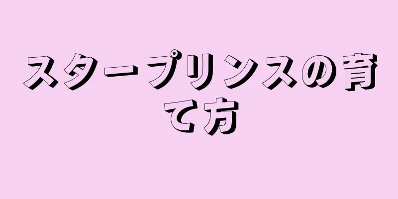 スタープリンスの育て方