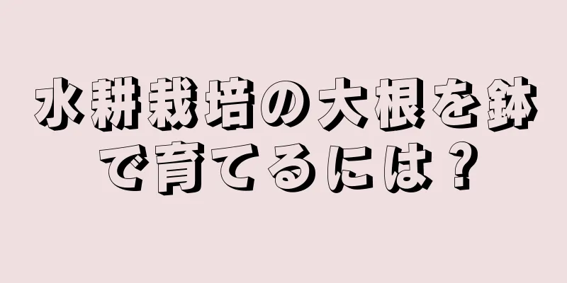 水耕栽培の大根を鉢で育てるには？