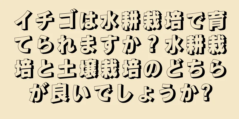 イチゴは水耕栽培で育てられますか？水耕栽培と土壌栽培のどちらが良いでしょうか?