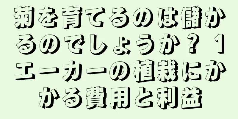 菊を育てるのは儲かるのでしょうか？ 1エーカーの植栽にかかる費用と利益