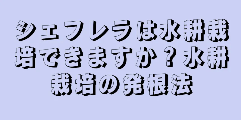 シェフレラは水耕栽培できますか？水耕栽培の発根法