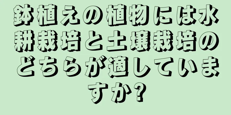 鉢植えの植物には水耕栽培と土壌栽培のどちらが適していますか?