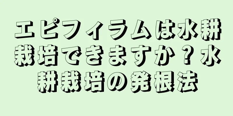 エピフィラムは水耕栽培できますか？水耕栽培の発根法