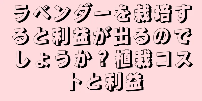 ラベンダーを栽培すると利益が出るのでしょうか？植栽コストと利益
