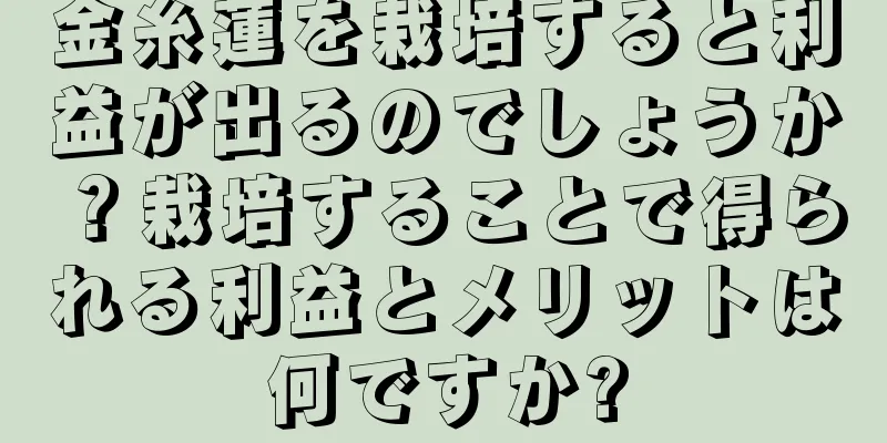 金糸蓮を栽培すると利益が出るのでしょうか？栽培することで得られる利益とメリットは何ですか?