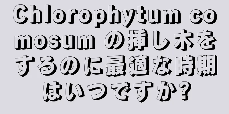 Chlorophytum comosum の挿し木をするのに最適な時期はいつですか?