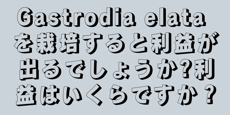 Gastrodia elata を栽培すると利益が出るでしょうか?利益はいくらですか？