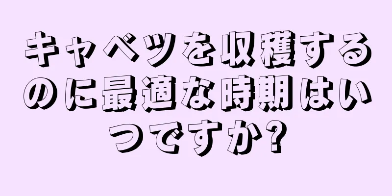 キャベツを収穫するのに最適な時期はいつですか?