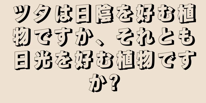 ツタは日陰を好む植物ですか、それとも日光を好む植物ですか?