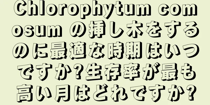 Chlorophytum comosum の挿し木をするのに最適な時期はいつですか?生存率が最も高い月はどれですか?
