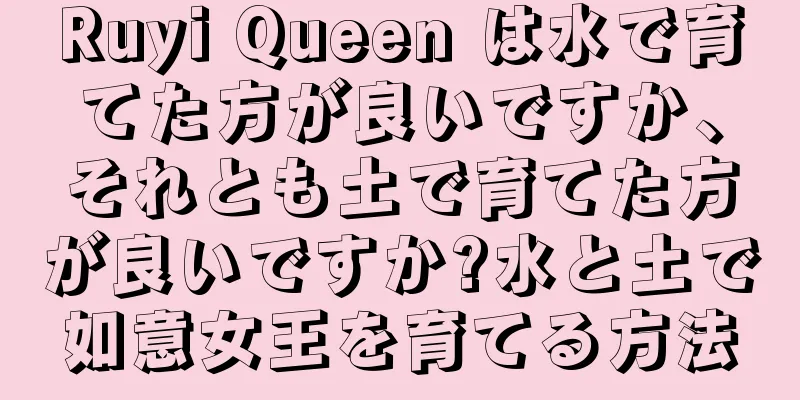 Ruyi Queen は水で育てた方が良いですか、それとも土で育てた方が良いですか?水と土で如意女王を育てる方法