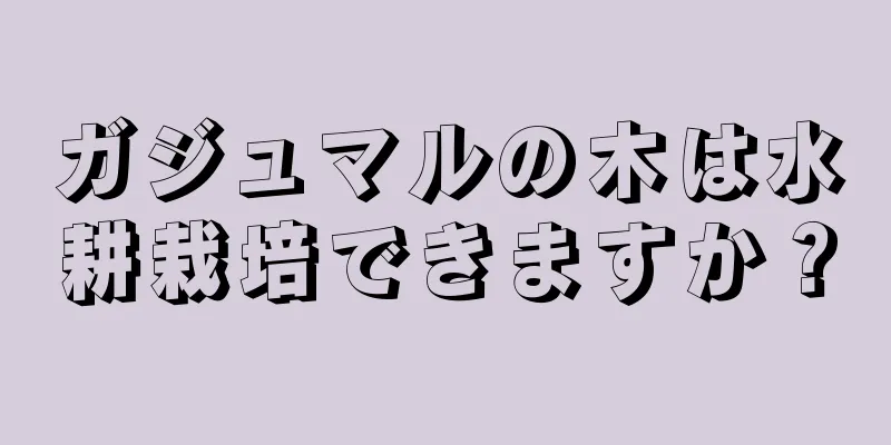 ガジュマルの木は水耕栽培できますか？