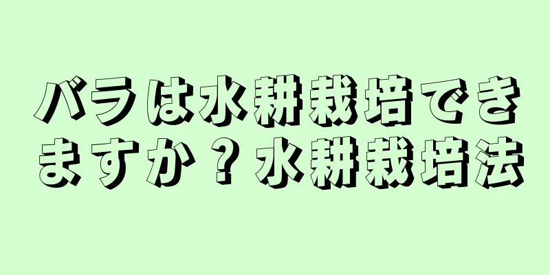 バラは水耕栽培できますか？水耕栽培法
