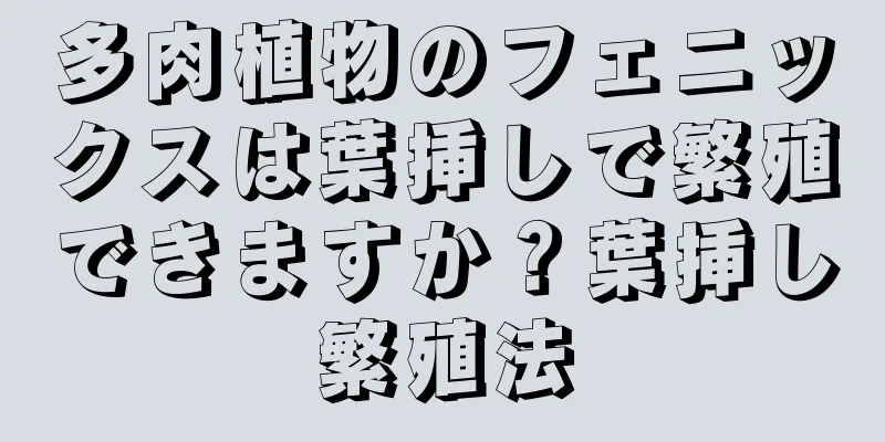 多肉植物のフェニックスは葉挿しで繁殖できますか？葉挿し繁殖法