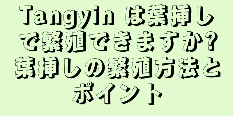 Tangyin は葉挿しで繁殖できますか?葉挿しの繁殖方法とポイント