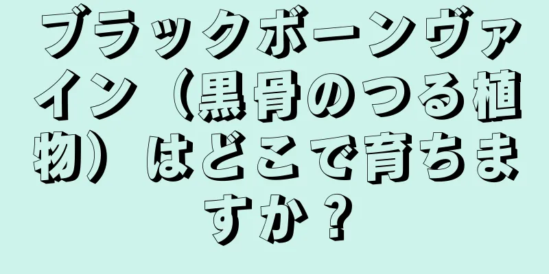 ブラックボーンヴァイン（黒骨のつる植物）はどこで育ちますか？