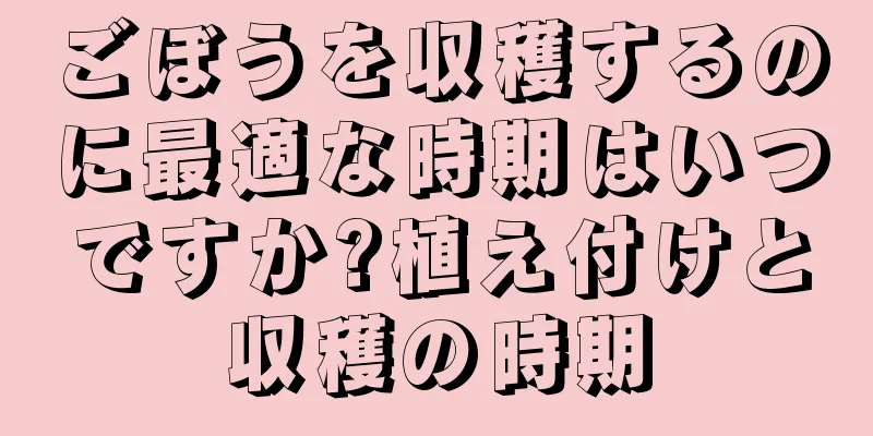 ごぼうを収穫するのに最適な時期はいつですか?植え付けと収穫の時期